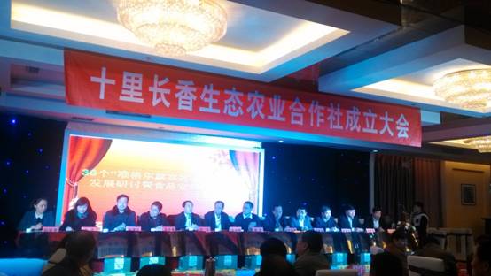 走過(guò)十里長(zhǎng)川，拉開(kāi)“十里長(zhǎng)香”品牌的序幕