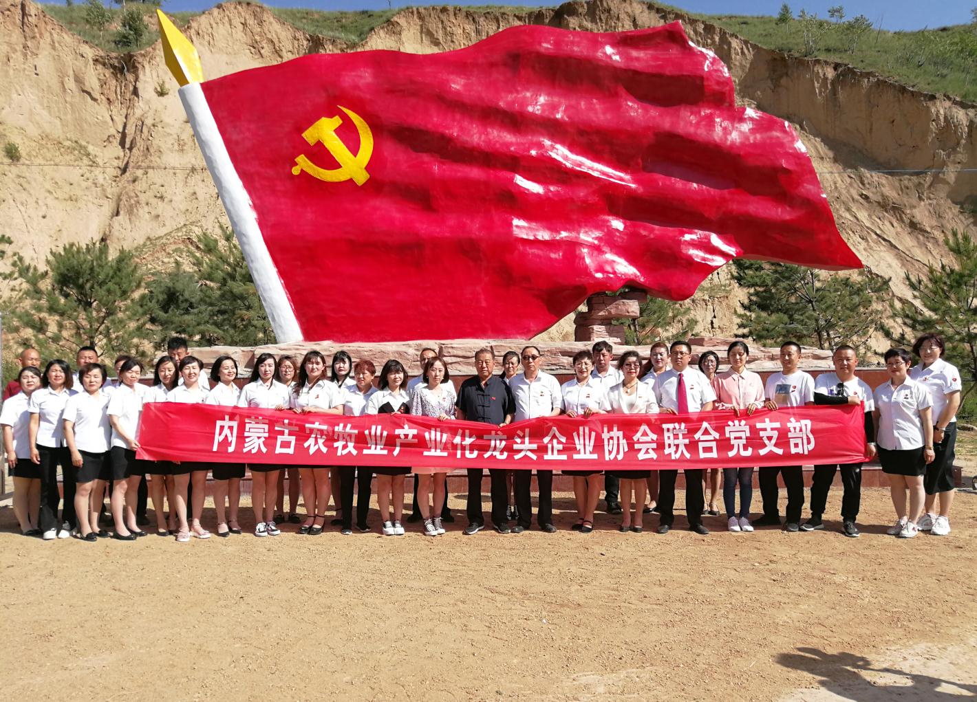 內(nèi)蒙古農(nóng)牧業(yè)產(chǎn)業(yè)化龍頭企業(yè)協(xié)會走進石人灣村開展“辦實事、解難題，送溫暖，傳黨恩”公益活動